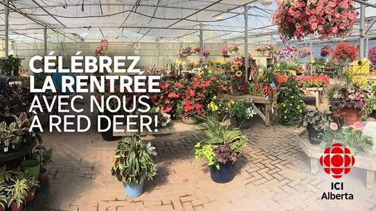 radio canada la rentree